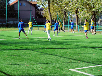 Ziua Armatei