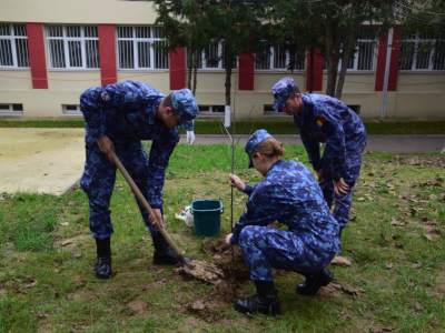 Rădăcini în pământ dobrogean: elevii și instructorii militari au plantat pomi fructiferi de Ziua Dobrogei